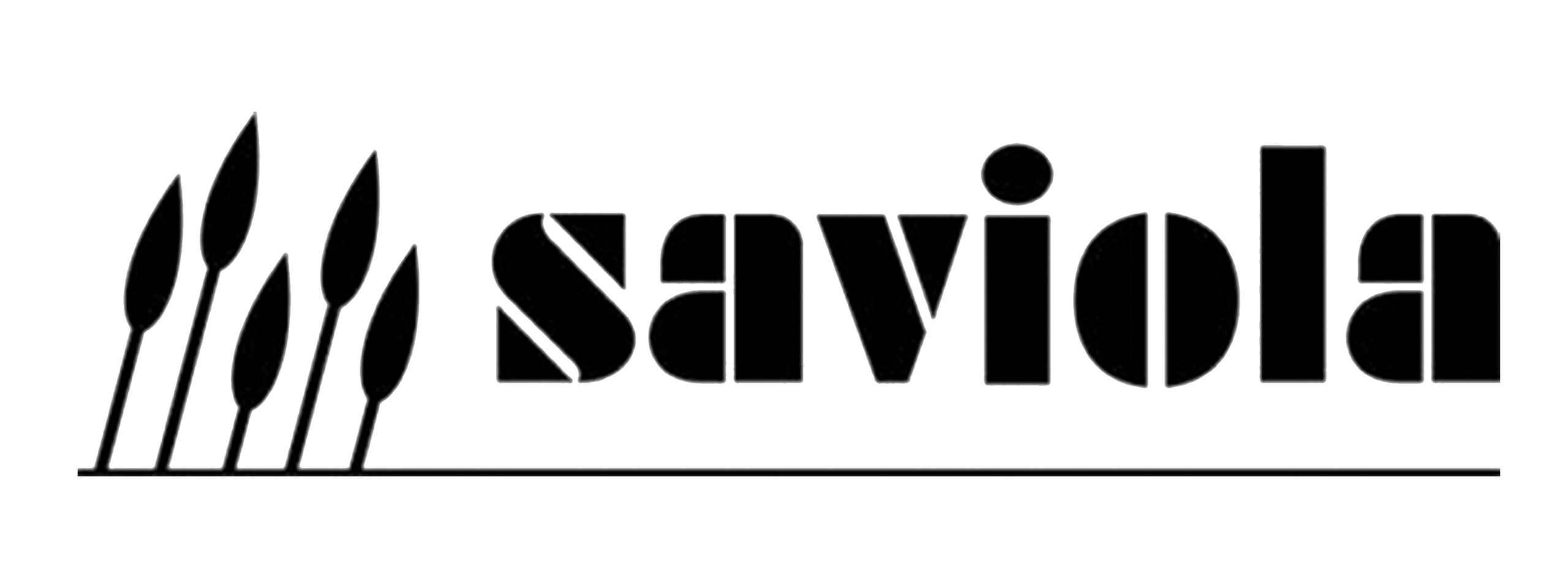 saviola-logo-500x128